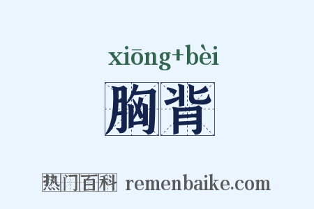 胸背是什么意思的图片